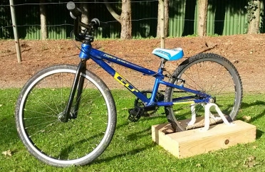 gt mini bmx